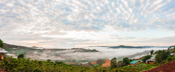 Wall Mural - On the outskirts of Da Lat in the morning mist