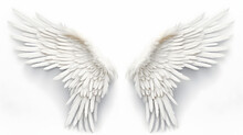 Angel Wings Isolated On White Background
