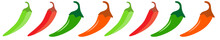 Green Chili Vector Icon. Spiciness Level. Vector Illustration. .Hot Chili Peppers, Jalapeno Vegetables, Cayenne Pepper Red, Green, Yellow. Vector Illustration