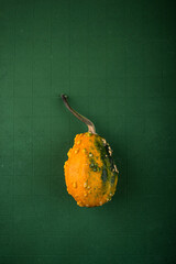 Wall Mural - Decorative pumpkin on green background.