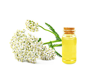 Wall Mural - yarrow essential oil in a bottle isolated on a white background