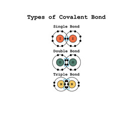 Wall Mural - A covalent bond is a chemical bond that involves the sharing of electrons to form electron pairs between atoms, Scientific Designing Of Covalent Bond Types, Polar, Coordinate Bonds Types