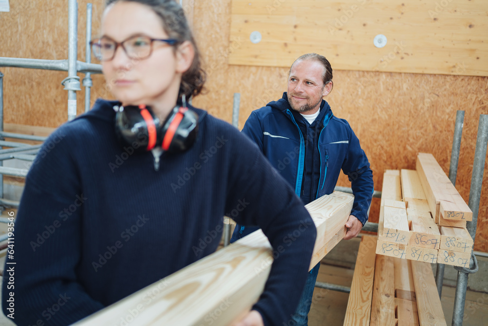 Carpenter and Craftswoman Carrying a Wooden Beam Stock Photo | Adobe Stock