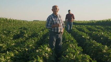 Wall Mural - Portrait of two farmers standing in soy field at sunset.