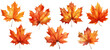 Autumn leaf, Fall Autumn Watercolor Illustration. Generative AI	