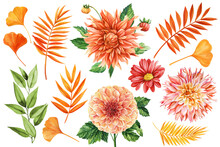 Chrysanthemum, Dahlia, Autumn Yellow, Orange Leaves. Palm Leaf. Watercolor Clipart For Greeting Card, Wedding Invitation