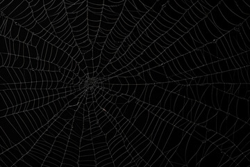 Wall Mural - Bright Spider Web On A Dark Black Background Created With The Help Of Artificial Intelligence