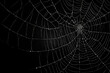 © Damianius - Bright Spider Web On A Dark Black Background Created With The Help Of Artificial Intelligence
