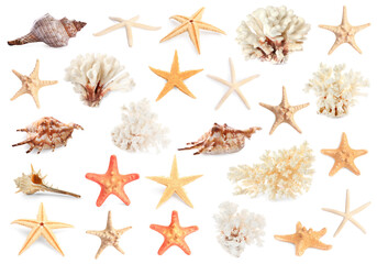 Wall Mural - Set with sea stars, shells and corals isolated on white