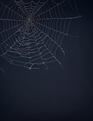 Halloween background with spider web with dew drops