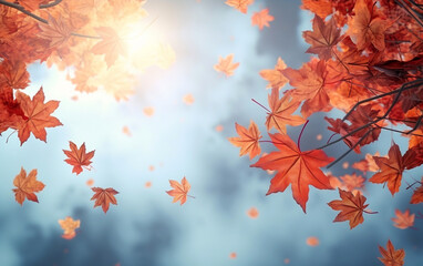 maple leaf in autumn with maple tree under sunlight background