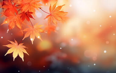 Wall Mural - maple leaf in autumn with maple tree under sunlight background