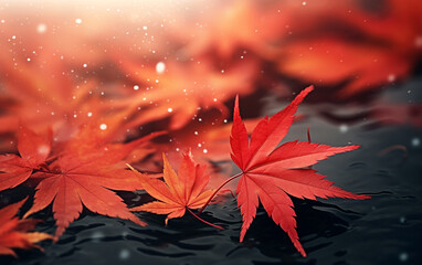Wall Mural - maple leaf in autumn with maple tree under sunlight background