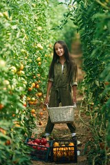 Poster - Little girl is in the garden with tomatoes