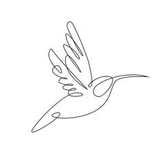 Wall Mural - hummingbird line illustration