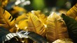 © ProVector - Tropical leaves and plants in golden color. Generative AI.