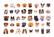 Cute Dog Avatars Set. Puppy Face Portraits Of Various Doggy Breeds. Happy And Funny Animals, Pet Muzzles Of Bulldog, Terrier, Pug, Doberman, Corgi, Labrador. Flat Isolated Vector Illustration On White