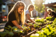 © Keitma - Teen girls at a community garden, planting and gardening together