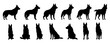 set of silhouettes of german shepherd dog sit and standing. isolated on a transparent background, eps 10