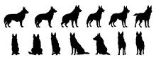 Set Of Silhouettes Of German Shepherd Dog Sit And Standing. Isolated On A Transparent Background, Eps 10