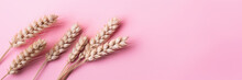 Golden Wheat Stalks On Pink Background Banner Ai Generated