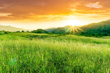 Summer Of Spring Landscape Of Green Grass Meadow With Great Beautiful Mountains And Awersome Golden Cloudy Sunset