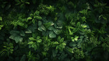 Fototapeta Las - Overhead view of a forest canopy filled with green flora.