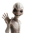© Photo shop for you - Aliens raising their hands to greet the people of the world on a white background.