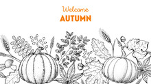 Cozy Autumn Frame. Hand Drawn Vector Illustration. Horizontal Seamless. Twigs, Pumpkin, Leaves, Maple Leaf, Acorn. Hand Drawn Sketch.