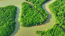 Mangrove Mystique From Above: A Breathtaking Drone View Captures The Intricate Beauty Of Winding Waterways, Lush Green Canopies, And Vital Coastal Ecosystems In Perfect Harmony. Thailand.
