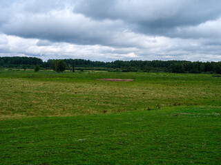 Wall Mural - countryside farm meadow with fresh cut green grass