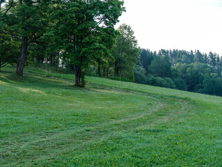 Wall Mural - countryside farm meadow with fresh cut green grass