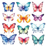Fototapeta Motyle - Vibrant Watercolor Butterflies: Colorful Set with White Backdrop