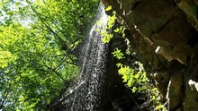 View Of Falling Water From A Cliff In The Forest. Bottom-up View Of A Rock With A Small Waterfall Formed By A Stream. A Small Waterfall With Crystal Cold Water In The Carpathians, Ukraine.