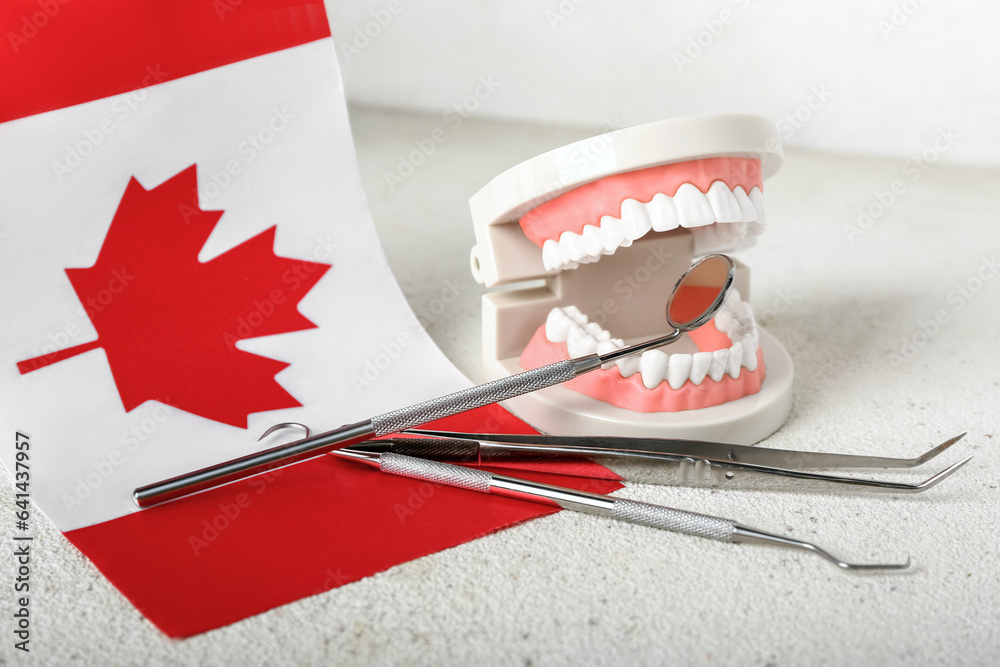 Jaw model with dental tools and flag of Canada on white table, closeup
