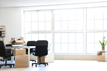 Wall Mural - Interior of light office with cardboard boxes on moving day