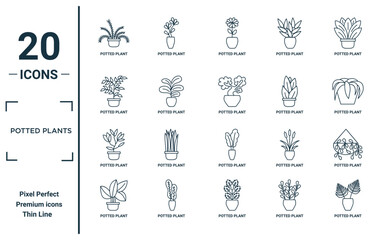 potted plants linear icon set. includes thin line potted plant, potted plant, plant, icons for report, presentation, diagram, web design