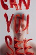 © TrueFrame Collective - Conceptual picture of gloomy young man standing behind plastic film with inscription Can you see written with red lipstick on foreground