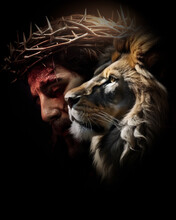 Lion And The Lamb, King Jesus Christ, Crowned With Thorns, Set Against A Black Background - Reflecting Spiritual Sovereignty And Salvation.