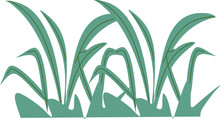 Reed Plant Illustration, Pond Reed Clipart, Grass Clipart 