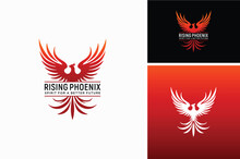 Artistic Flying Phoenix Bird.  Wingspan Of Mythical Fenix Firebird Silhouette. Beauty Rising Eagle Falcon Hawk Logo Design.