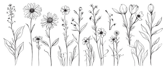 Sticker - Sketch weeds, herbal, flowers and cereals. Trend elements design. Collection of hand drawn flowers and herbs. Vintage medicinal herbs sketch set ink hand drawn medicinal herbs and plants sketch