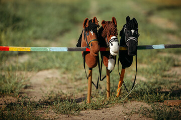 Three toys for hobbyhorsing. Toys stand on the obstacle for jumping.