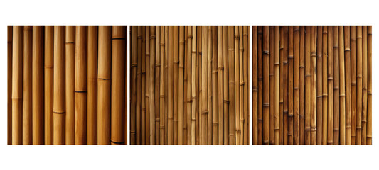 plant bamboo texture wood grain illustration natural tropical, green stems, plant background plant bamboo texture wood grain