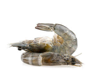 Wall Mural - fresh shrimp prawn isolated on white background