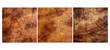 tree burl elm wood texture grain illustration brown natural, working background, lumber tree burl elm wood texture grain