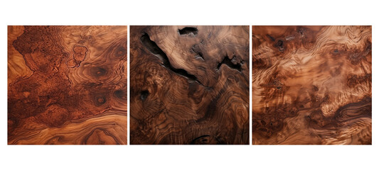 Canvas Print - hard burl walnut wood texture grain illustration timber tree, brown natural, working background hard burl walnut wood texture grain