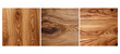 surface hickory wood texture grain illustration natural material, detailed tree, closeup carpentry surface hickory wood texture grain