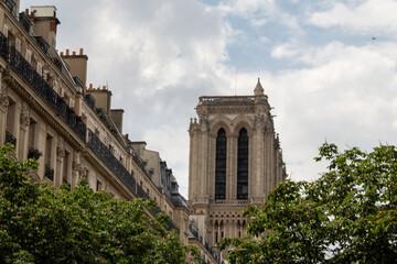 Wall Mural - notre dame de city cathedral