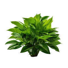 Aufkleber - Nature Jungle Plants